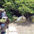 가누리농장 이미지