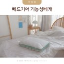 하늘땅한의원 | 기능성 베개 베드기어 밸런스 일자목베개 추천 사용후기