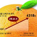 그냥 심심해서요. (26293) 귤 사러 갔다 가격에 ‘깜짝’ 이미지