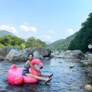 로지 카카오 검색결과