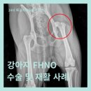상동물병원