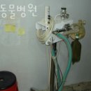 오암동물병원 이미지