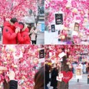 Love Tree(러브트리) 이미지