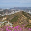 연화 이미지