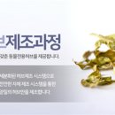 밸런스펫츠 이미지