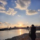 주식회사 시흥갯골약쑥 | 인생샷 명소! 시흥 미생의 다리, 붉게 물든 갯골 석양 후기