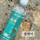 이뮨팩토리제주