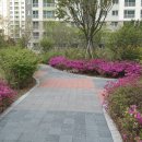 버스정류장(첨단초교) 이미지