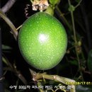 수정-128 이미지