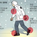 낙상 이미지