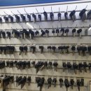 롯데마트 원주점(지하2층) 이미지