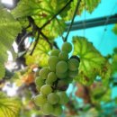 문화의거리_동 이미지