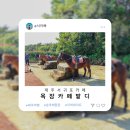 서아목장 | 제주 서귀포 카페 먹이주기 승마 이색자전거 체험 목장카페밭디