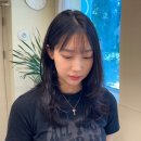 아브헤어 이미지