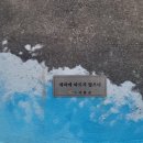 세파에 따르지 이미지