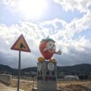 응골농장 이미지