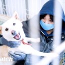 우리손길 이미지