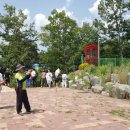 비타민 숲 이미지