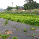 꿈나무농장 이미지