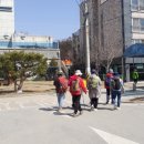 무봉산둘래길 Daum카페