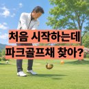 딱 좋아 | 데이비드 파크골프채 DP300 남자 후기 입문, 초보 딱 좋아