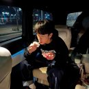 차에 진심인 남자 이미지