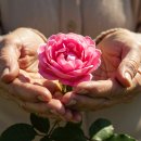 거꾸로 나이 드는 습관 이미지