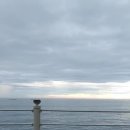 북극성공인중개사사무소 이미지