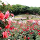 곡성-032 이미지