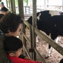 준우목장 이미지