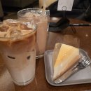카페0124