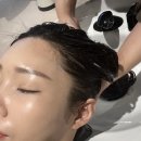 노보헤어 - 북구 | 해운대 미용실 마린시티 셉바이지노보 셀프브러싱 론칭행사 다녀왔어요