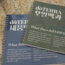 헬로쪼꼬씨