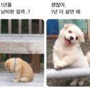 서어른