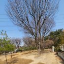 원주민부동산중개사사무소 이미지