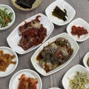 태안여행 전현무계획 '덕수식당' 주말 오픈런 웨이팅 실패로 옆집 '유명해물나라' 솔직후기