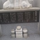 무궁화로 이미지