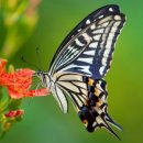 뚝딱뚝딱 나무 이야기 이미지