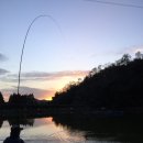 수암낚시터 이미지