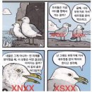 엠언니