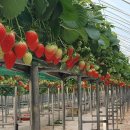 희망농장2 이미지