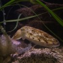 한려수산 이미지