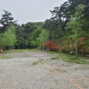 명봉산솔밭관광농원오토캠핑장 이미지