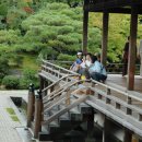 일본&일본문화 이미지