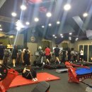 타이거짐 이미지