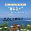 몰리힐스(MOLLI HILLS) | 거제도 매미성 카페 추천 > 몰리힐스 오션뷰맛집