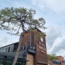 신샘밭로 L 이미지