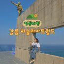 안송로113번길13 | 강원도 강릉 정동진 가볼만한곳 하슬라아트월드 포토존과 피노키오 위치