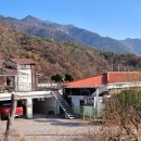 청도강변돌고래펜션 | 돌고래 펜션 청도강변돌고래펜션에서 보내고 온 아늑하고 편안했던 1박 후기 ^^