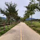 두물머리공원 맞은편 이미지